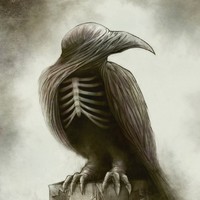 Profile Picture of Thomas Mauro (@thomas-mauro-3) on Quora