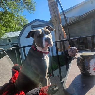 Profile Picture of Doug D Siebert (@berzerker5150777) on Instagram