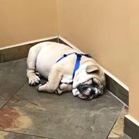 Profile Picture of Margarita Calderon (@margarita-calderon-7) on Quora