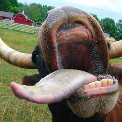 Profile Picture of Matthew Dougan (@matthewdougan) on Twitter