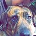 Profile Picture of Kimberly Loftus (@kimberlyl1347) on Pinterest