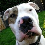 Profile Picture of jonathan broadbent (@jonathan6760_spam) on Instagram