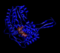 Profile Picture of Aldehyde dehydrogenaseon Wikipedia