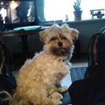 Profile Picture of Peter van der Jagt (@peter.vanderjagt) on Instagram