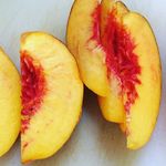 Matthew And Fiona McGuire - Instagram Profile Picture of Matthew And Fiona McGuire (@mcguiresinfamouskitchen) on Instagram