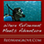Profile Picture of Bryan Haines (@red mangrove galapagos) on Flickr