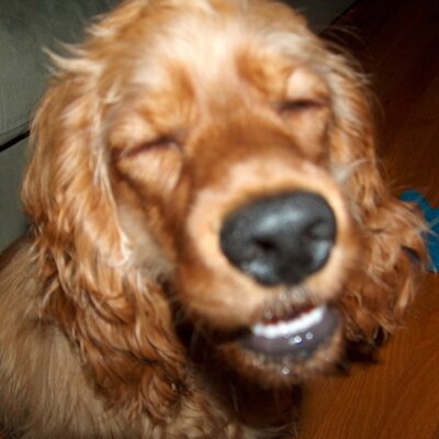 Profile Picture of Bob Lightner (@BobL44) on Twitter