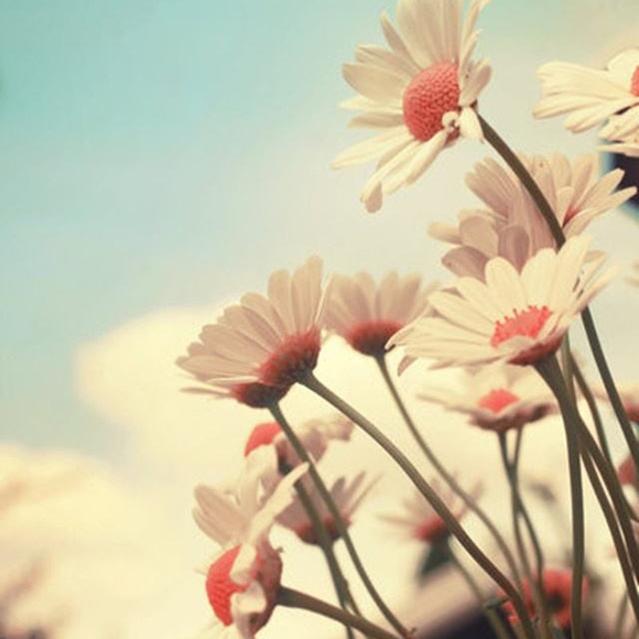 Profile Picture of Jacqueline Lopez (@jacquielopez) on Poshmark