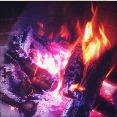 Profile Picture of Joshua Skenes (@saisonsf) on Twitter