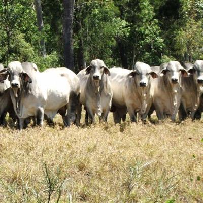 Profile Picture of David Connolly (@sokitomi) on Twitter