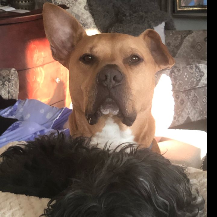 Profile Picture of Marty Wagner (@martywagner0) on Tiktok