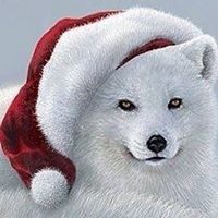 Profile Picture of Lauri Krein (@lauri-krein) on Quora