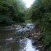 Profile Picture of Josh Knapp (@jpknapp67) on Pinterest