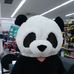 Profile Picture of Matthew Cosgrove (@matthew.cosgrove.505) on Facebook