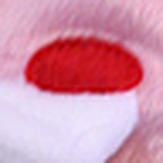 Profile Picture of Mine Bilder2010 (@mine bilder2010) on Flickr