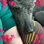 Profile Picture of Michelle Woolfrey (@blindgirldiary) on Instagram