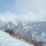 Profile Picture of Kate McPhail (@kamcphail) on Instagram