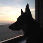 Profile Picture of markmccleery (@markmccleery) on Instagram