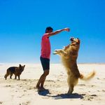 Profile Picture of Ashish Gurung (@ashishgrg90) on Instagram