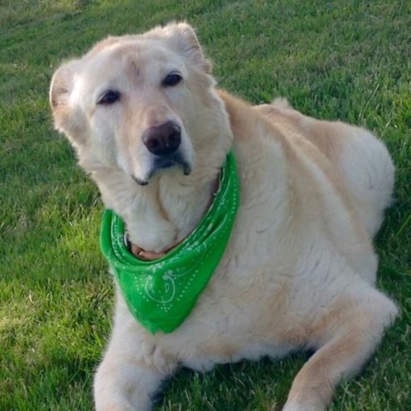 Profile Picture of Donna Milleville (@awn88) on Poshmark