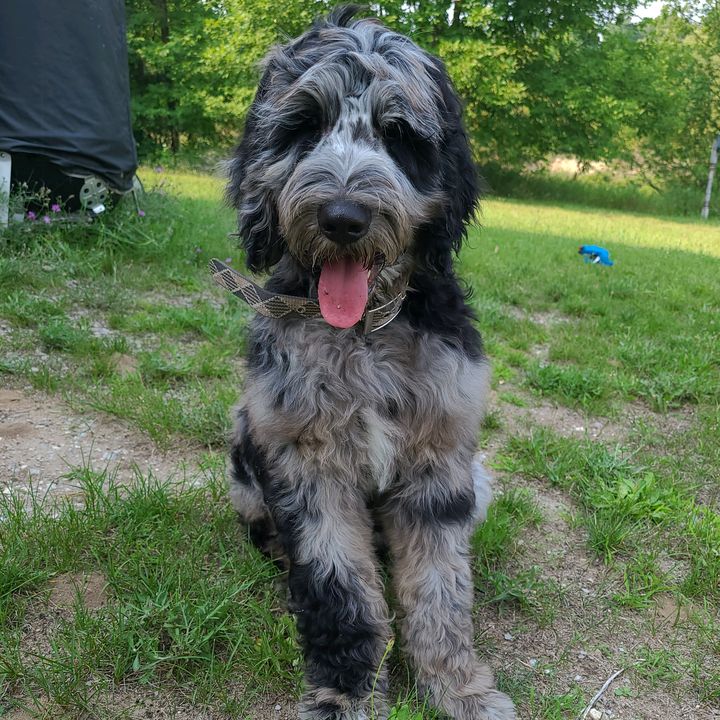 Profile Picture of mack_sterling (@mack_sterling) on Tiktok