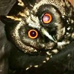 Roque Mantilla Alvarez - Instagram Profile Picture of Roque Mantilla Alvarez (@roquemantillaalvarez) on Instagram