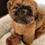 Profile Picture of chewy (@chewy_hbkn_beauty) on Instagram