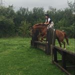 Profile Picture of Carys 🐴🐎🐴 (@kadee_thechestnuthorse) on Instagram