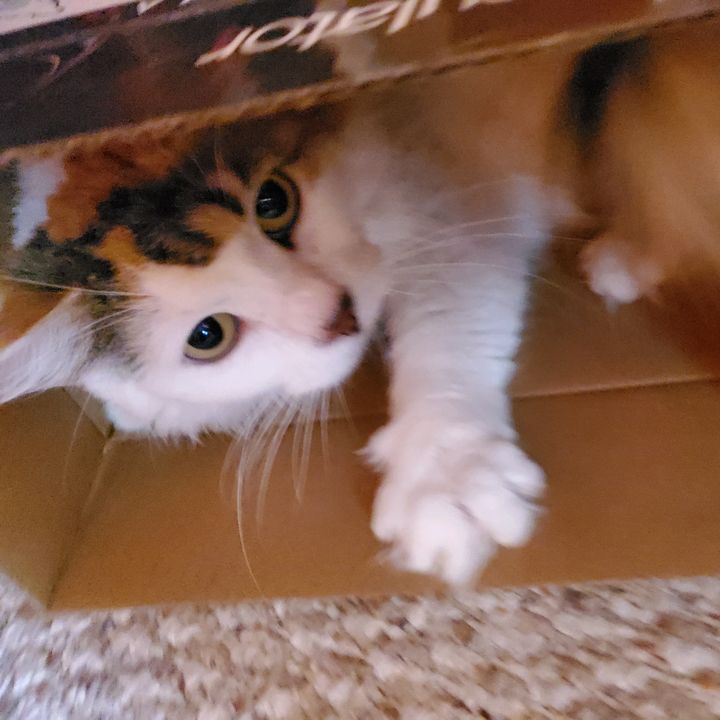 Profile Picture of Andrew Parr (@andrewparr46) on Tiktok