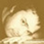 Profile Picture of David McLain (@DavidMcLainandco) on Flickr