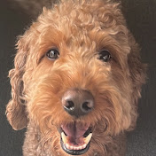 Profile Picture of Paola Seiple (@PSOahu) on Youtube