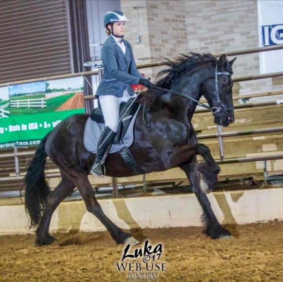 Profile Picture of Caitlin Mullins (@travelchic77) on Poshmark