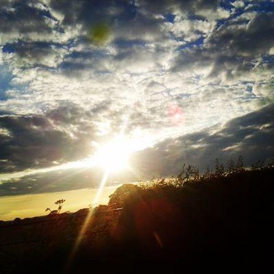 Profile Picture of Rachel Thomas (@Troglodytes73) on Twitter