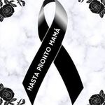 Profile Picture of Norma Barrientos (@norma.barrientos.10485) on Instagram