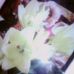Profile Picture of Erika Pfaff (@Erika-Pfaff) on Facebook