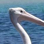 Profile Picture of Sandra Elizabeth Chalker (@s.chalker) on Instagram