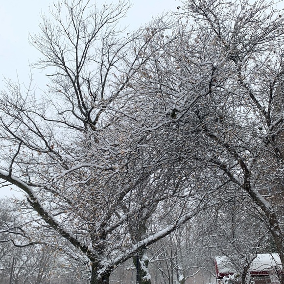 Ariel Vassilopoulos - Poshmark Profile Picture of Ariel Vassilopoulos (@ariel20758) on Poshmark