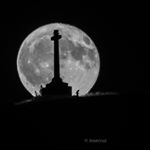 Jose Cruz Lafuente - Instagram Profile Picture of Jose Cruz Lafuente (@josecruz_lafu) on Instagram