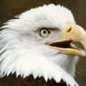 Profile Picture of Harvey Workman (@404373153) on Myspace