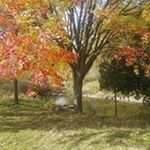 Profile Picture of David Reichert (@reichertcontractinginc) on Instagram