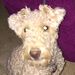 Profile Picture of Courtney Dean (@mbd_swiftie) on Pinterest