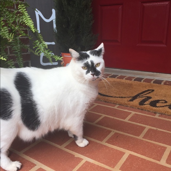 Profile Picture of Lisa Lowery (@eorluv) on Poshmark