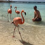 Profile Picture of Michael Kaser (@michael_kaser) on Instagram