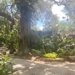 Profile Picture of Kaitlyn Strait (@Kaitlyn-Strait) on Facebook