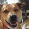 Profile Picture of Brian Mulvaney (@@31030896740) on Tiktok