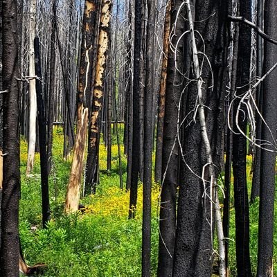 Profile Picture of Scott Horner (@ScottH456) on Twitter