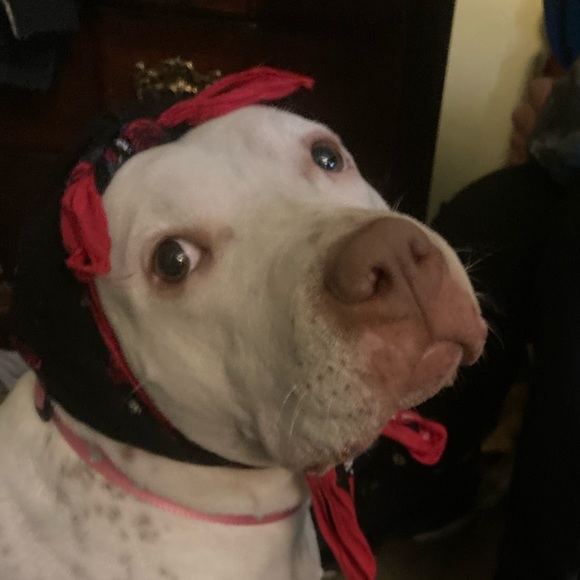 Profile Picture of Izaiah Ishikawa (@izaiahishikawa) on Poshmark