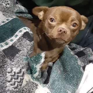 Profile Picture of Renee Lambert (@renee.lambert.9235) on Facebook