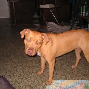 Profile Picture of Karen Wetherhold (@karma_girl) on Myspace