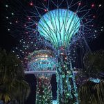 Profile Picture of David (@zhenitastela) on Instagram